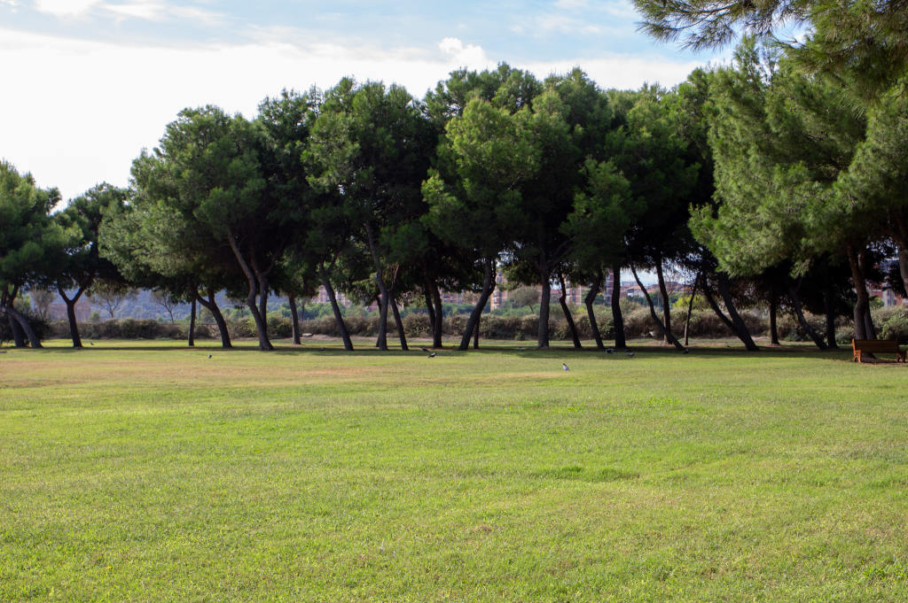 Molentargius Natural Park. Photo by Marta Cincotti, 2025, from Catalogo BBCC.
