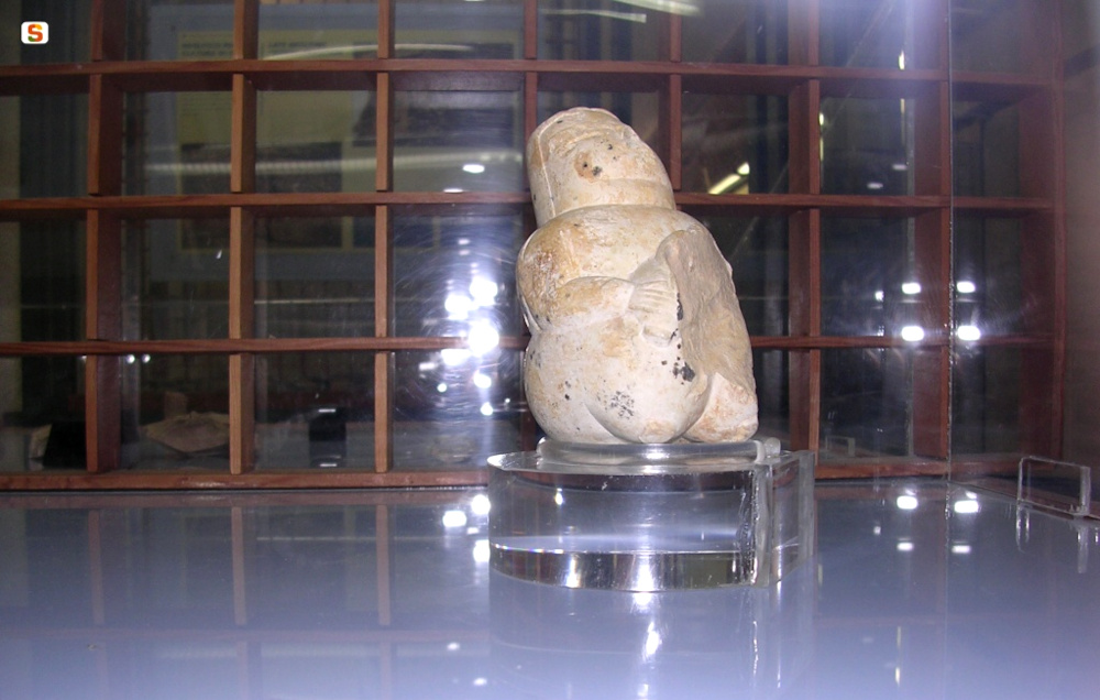 Pèifugas, Museu Archeològicu e Paleobotanico