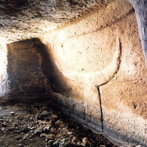 ÀNDALAS DE CULTURA