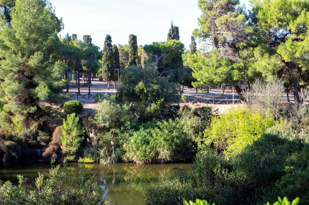 Monte Urpinu Park. Photo by Marta Cincotti, 2025, from Catalogo BBCC.