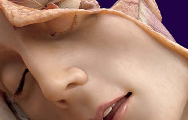 Cagliari, collection de cires anatomiques de Clemente Susini