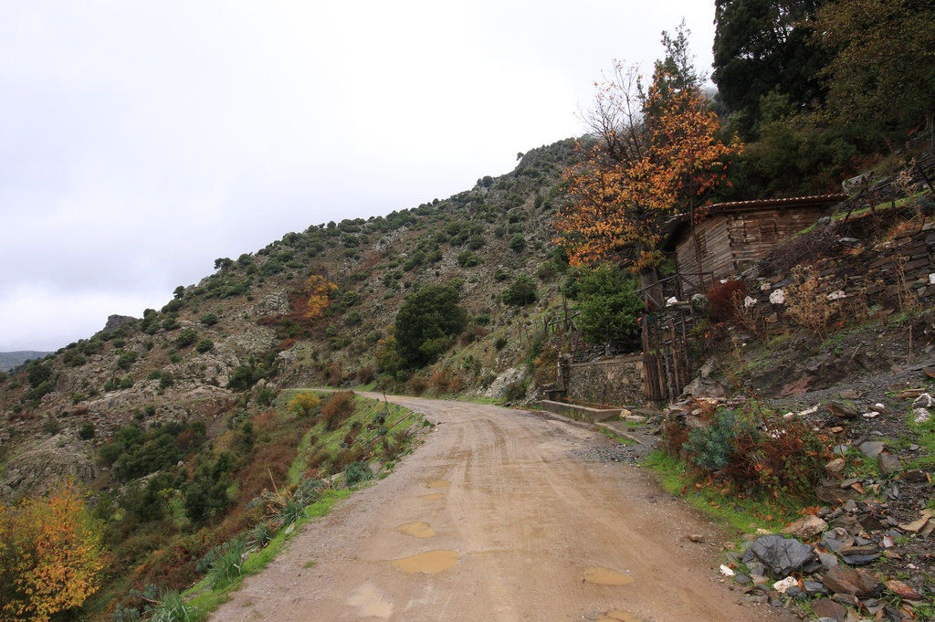 Aritzo, route pour Funtana Cungiada. Photo de Marcella Loddo, 2009, de la Bibliothèque numérique de Sardaigne