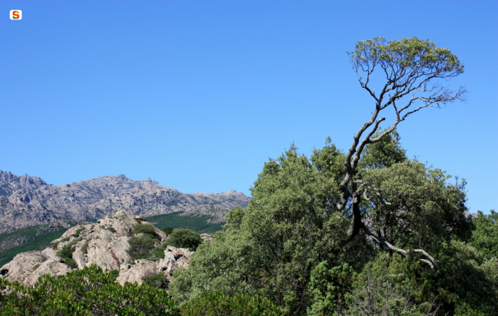 Berchidda, Dolmen di Sant'Andrea