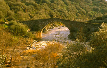 Illorai, Ponte Ezzu