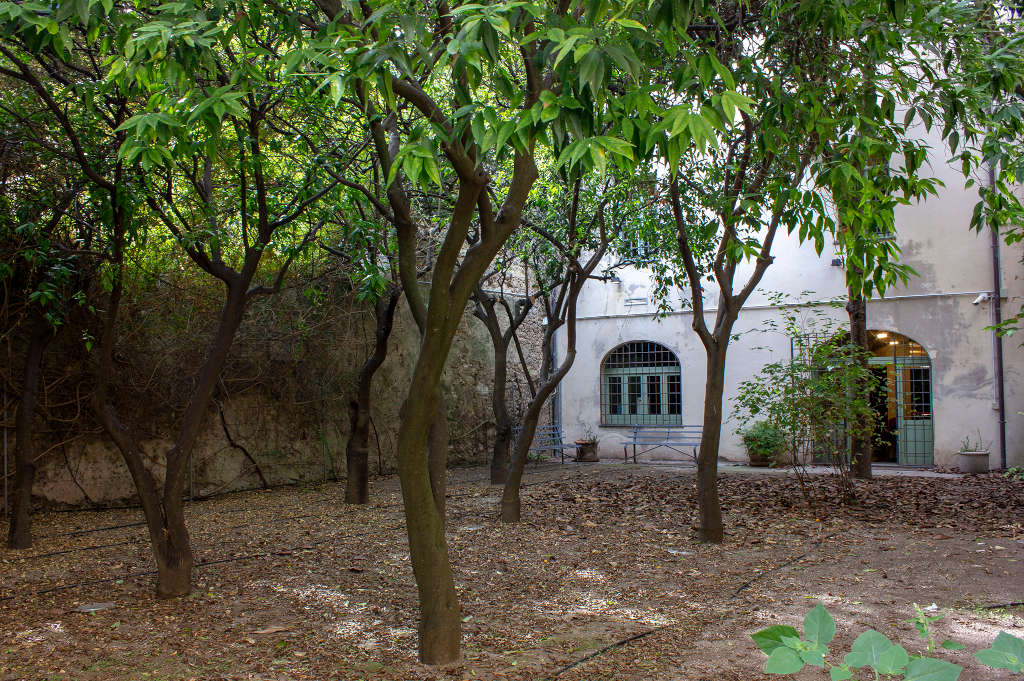 Jardín del Palacio de la Insinuación. Foto de Angela Nieddu, 2025, del Catalogo BBCC
