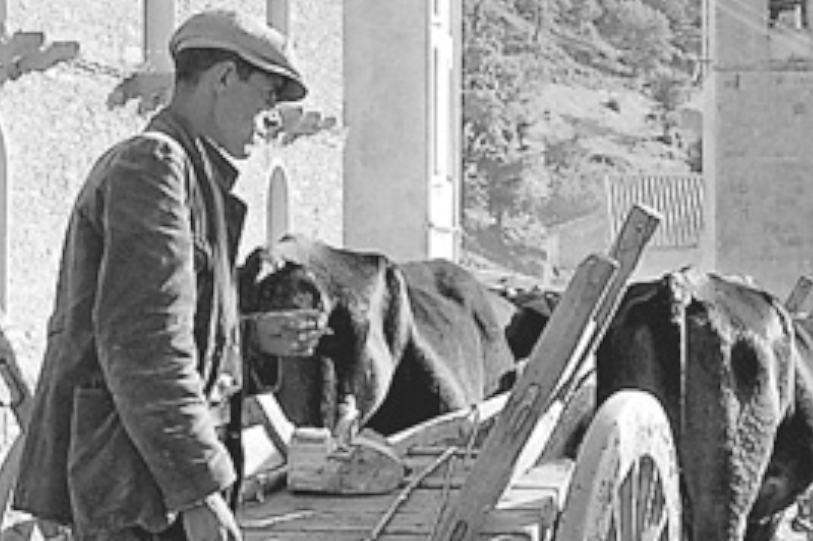 Mario De Biasi