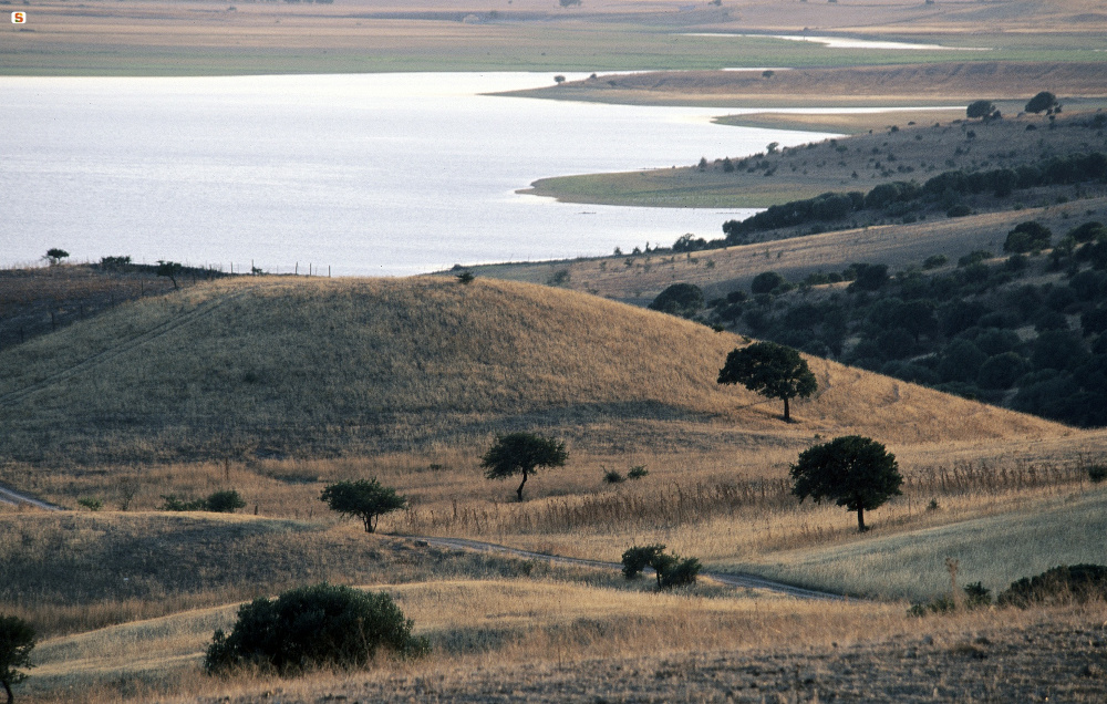 Oschiri, Castro Site