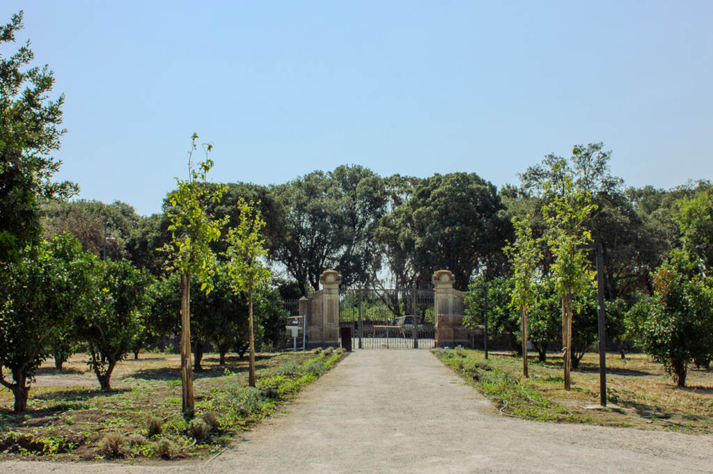 Jardín de cítricos Pernis Vacca. Foto de Angela Nieddu, 2025, del Catalogo BBCC
