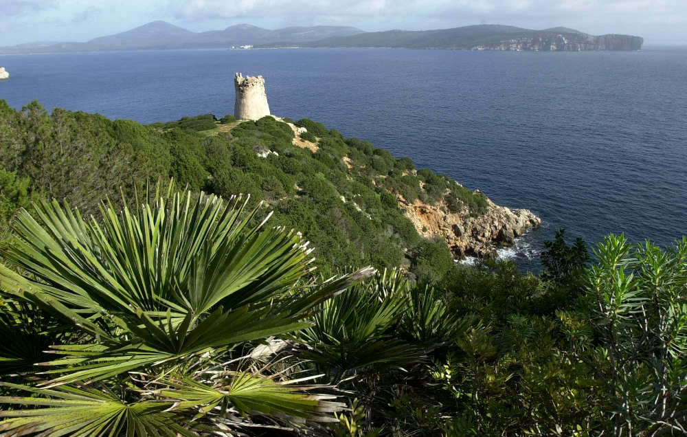 Alghero, Casa gioiosa - Museo della Memoria Carceraria - torre del Tramariglio