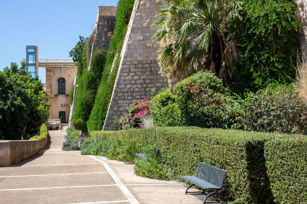 Garden under the walls. Photo by Marta Cincotti, 2025, from Catalogo BBCC.