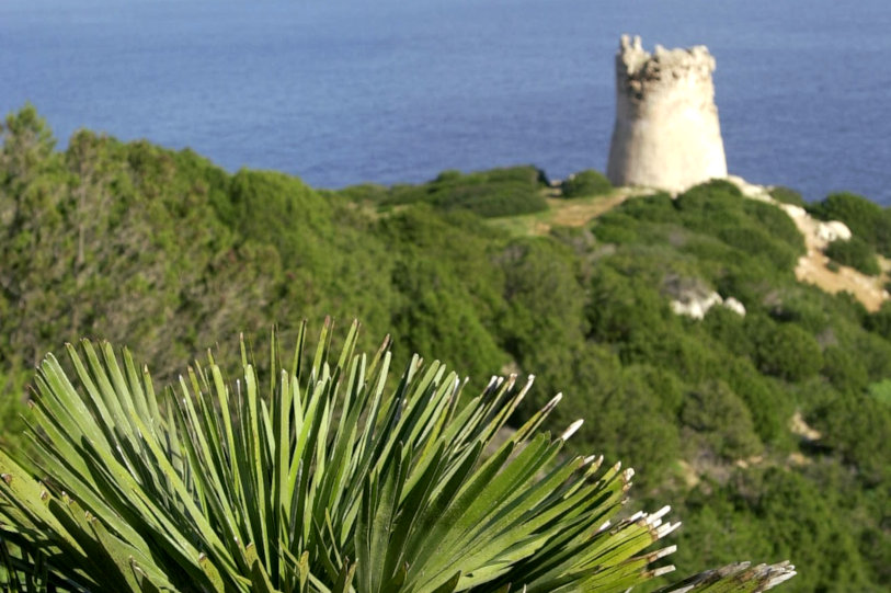 Panorama of the Gulf of Porto Conte with the Torre del Tramariglio. Photos of Regione Sardegna, from Sardegna DL