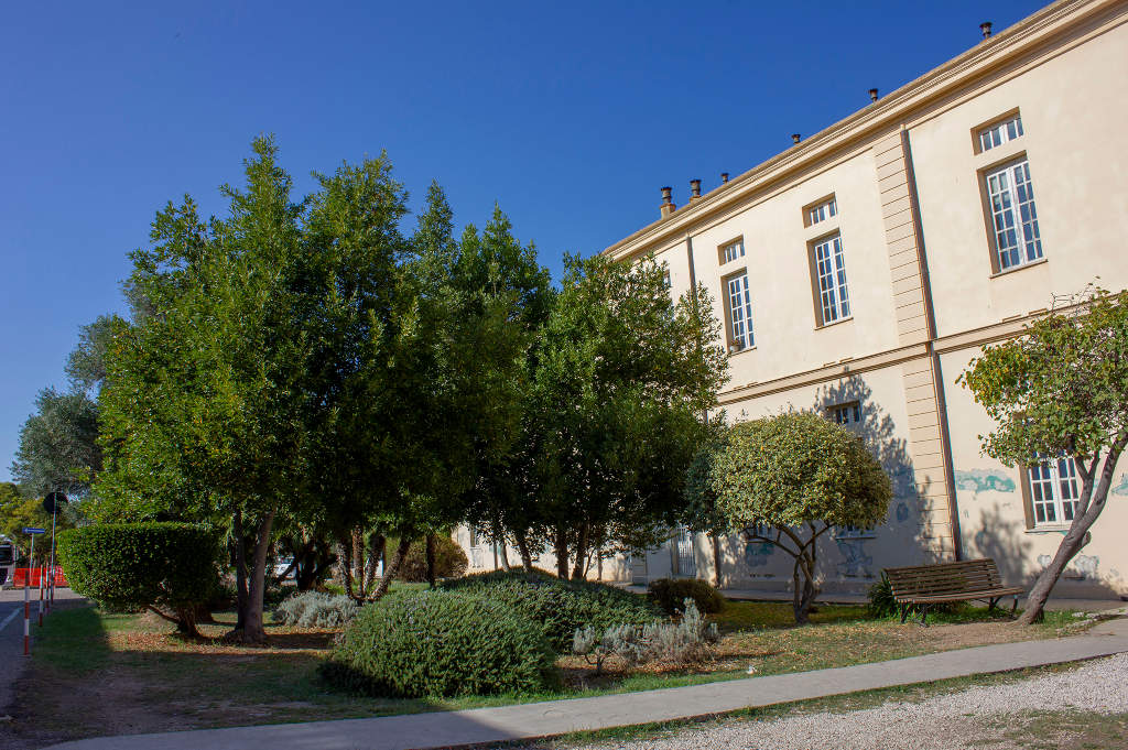 Jardín del Hospital Psiquiátrico de Rizzeddu. Foto de Angela Nieddu, 2025, del Catalogo BBCC