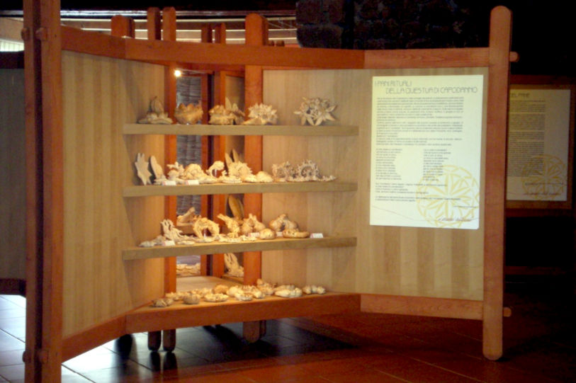 Museo del Pan Ritual, vitrina de exposición. Fotos de Comune di Borore, Sardegna DL