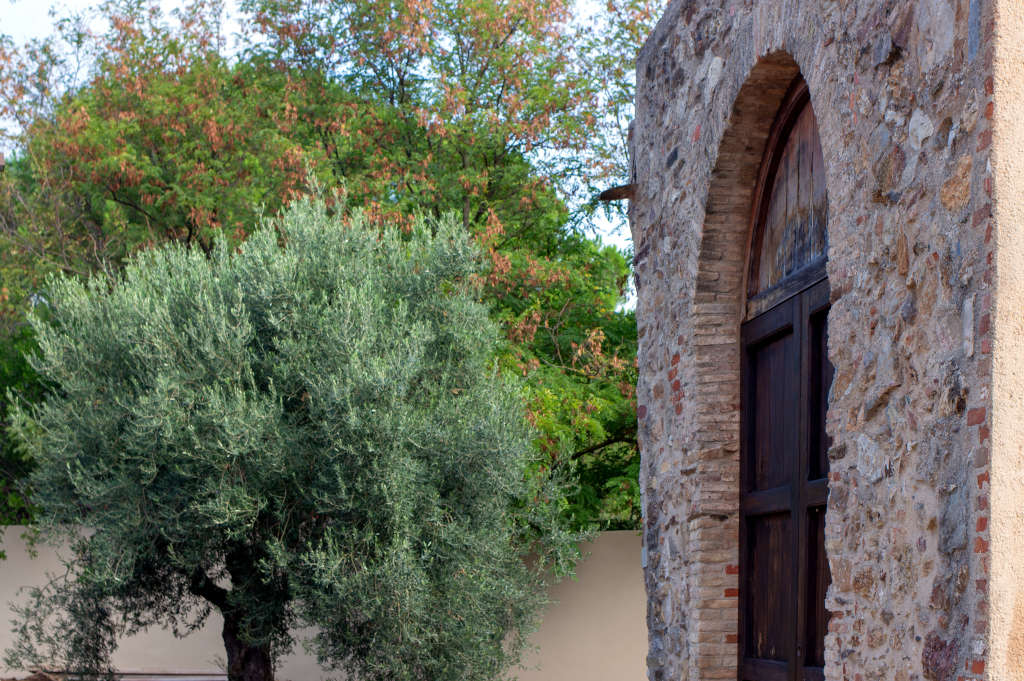 Jardín de la iglesia de San Salvatore. Foto de Marta Cincotti, 2025, del Catalogo BBCC