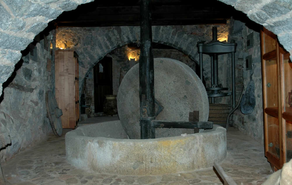 Loceri, Museo "Sa domu de s'olia"