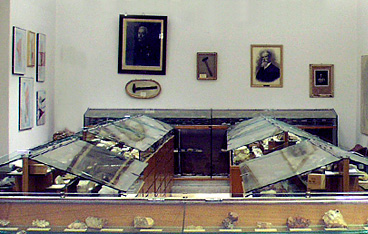 Cagliari, Museo di mineralogia "Leonardo de Prunner" e Museo di geologia e paleontologia "Domenico Lovisato"