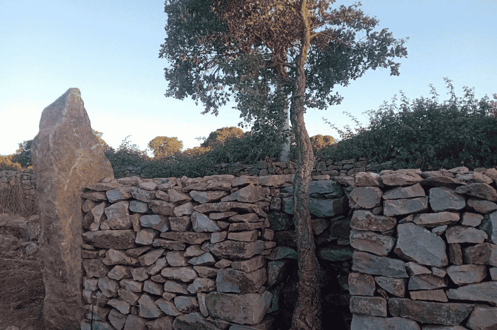 Architettura Rurale, Muretti a secco in loc. Sa Silida a Samugheo