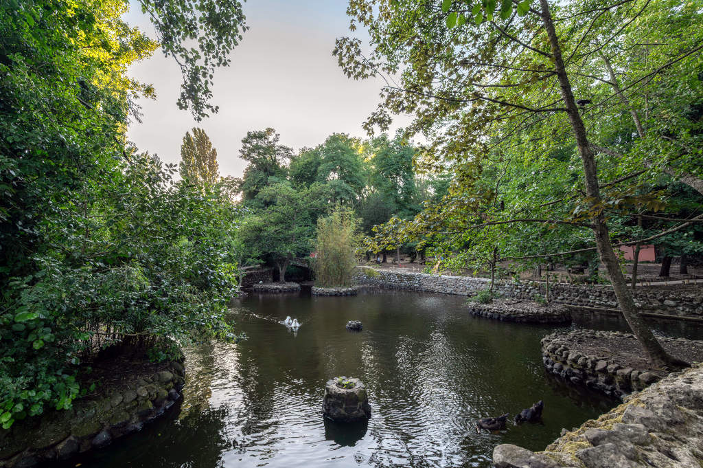 Parco di San Leonardo de Siete Fuentes. Foto di Irene Ollargiu, 2025, da Catalogo BBCC