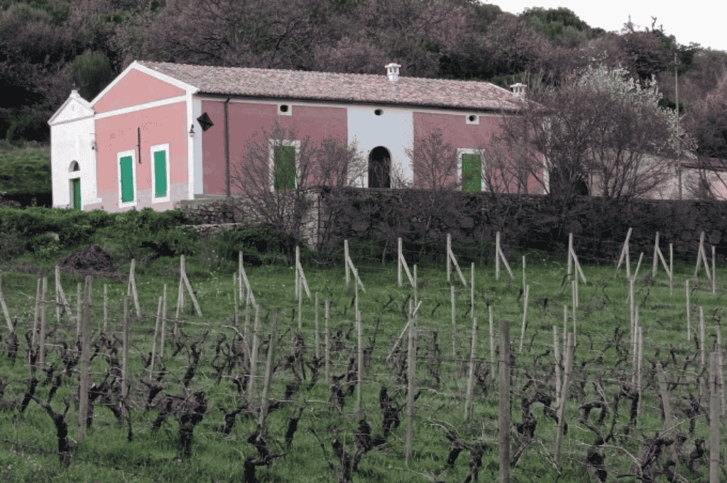 Ozieri, Villa Tola Mannu - Foto da PNRR Architettura Rurale
