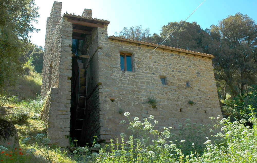 Olzai, Mill