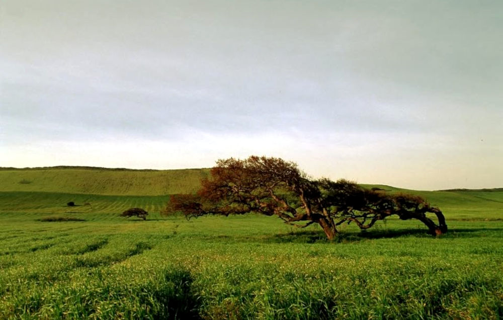 Paesaggio
