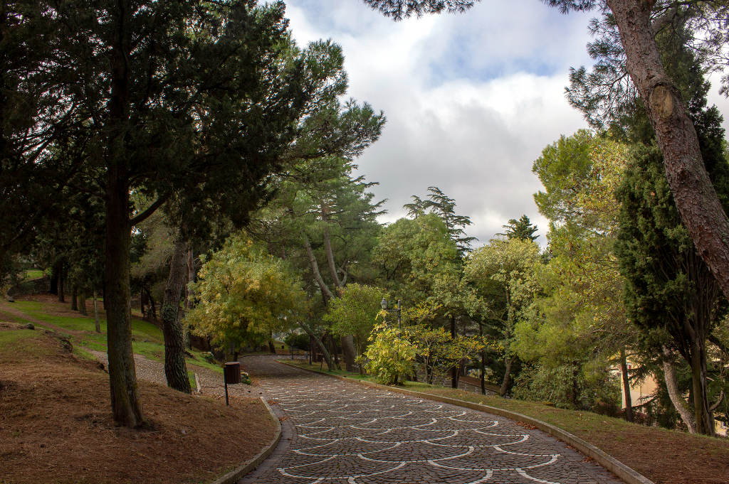 Sant'Onofrio's Hill Park. Photo by Angela Nieddu, 2025, from Catalogo BBCC