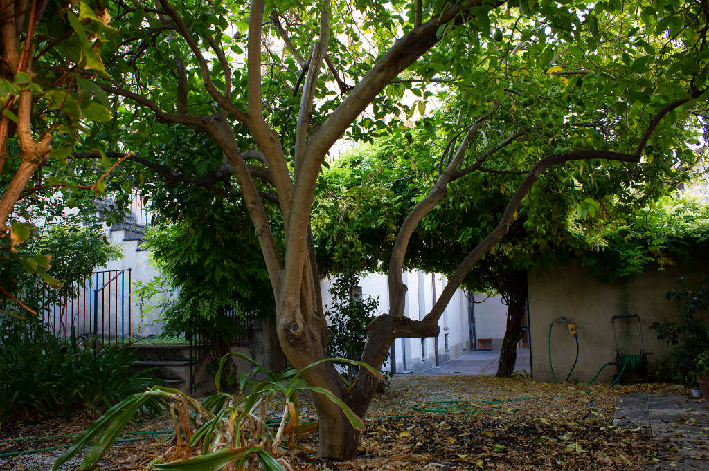 Jardín del Palacio de la Enfermería de San Pietro. Foto de Angela Nieddu, 2025, del catálogo de la BBCC