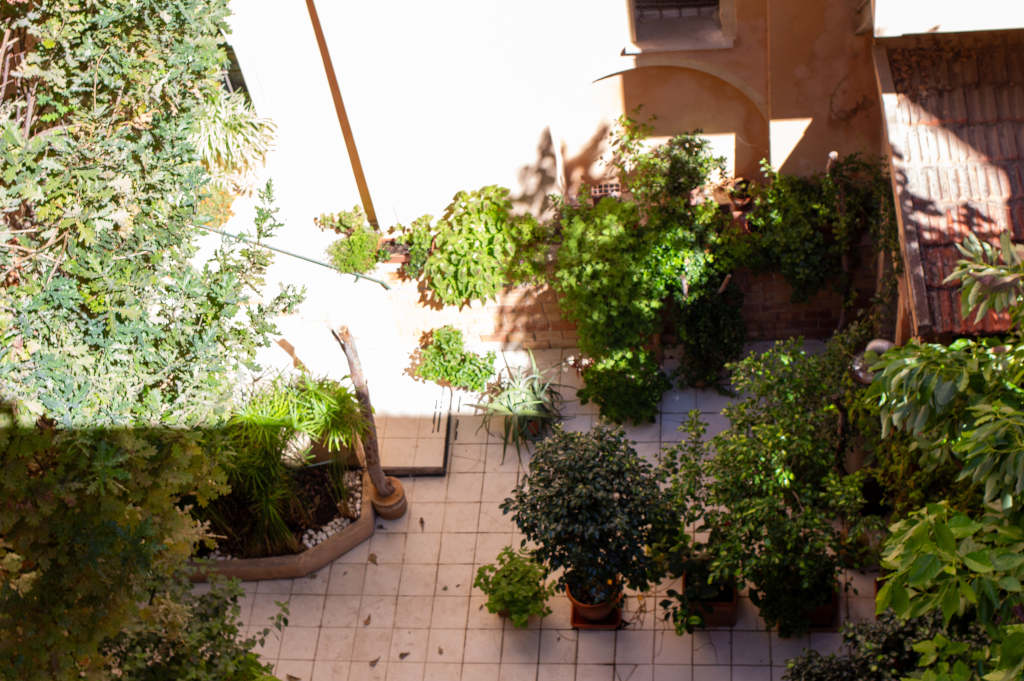 Palazzo Siotto garden. Photo by Marta Cincotti, 2025, from Catalogo BBCC.