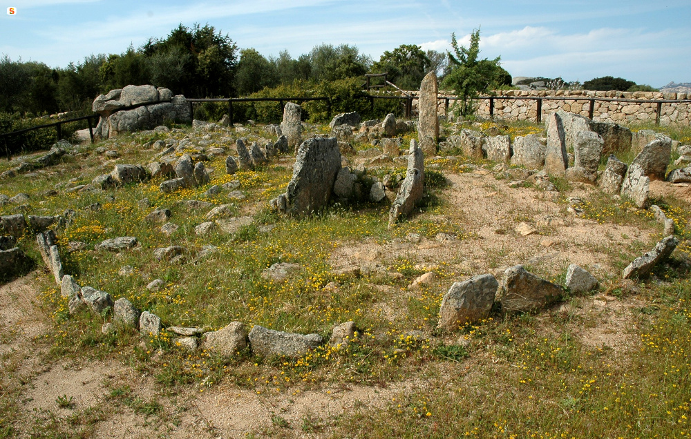 Arzachena, Necropoli di Li Muri