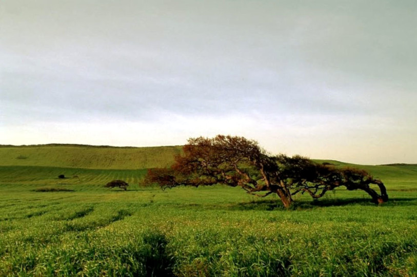 Paysage sarde, de la bibliothèque numérique de Sardaigne