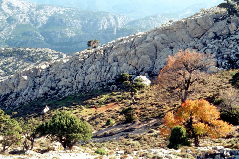 Paleolitico superiore