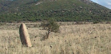 Laconi, Cromlech and menhirs from Is Cirquittus