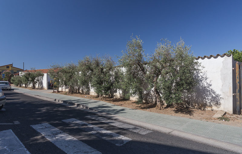 Dolianova, Museum of Olive Oil Tradition “Sa mola de su notariu”