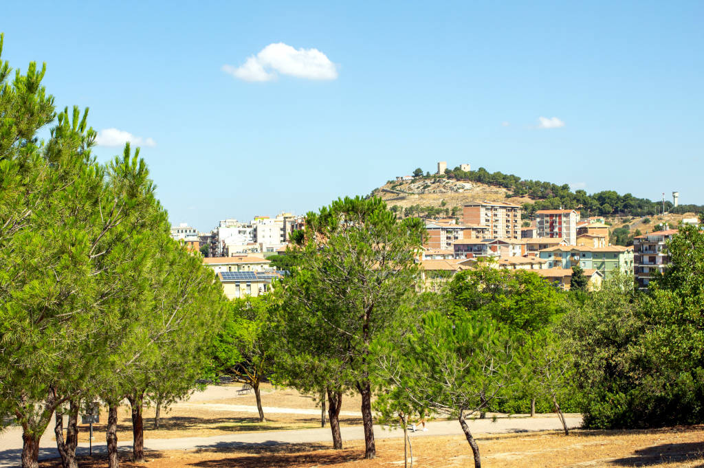 Monte Claro Park. Photo by Marta Cincotti, 2025, from Catalogo BBCC.