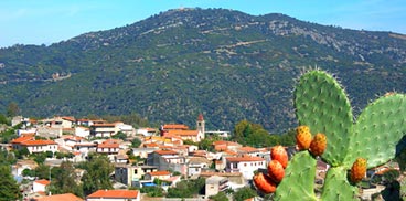 Festa della letteratura e delle arti