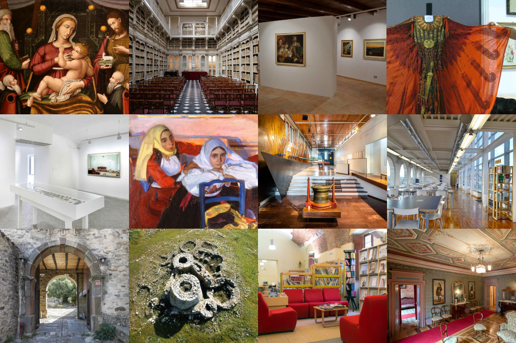 Rilevazioni ISTAT 2026 di musei, istituzioni similari e biblioteche