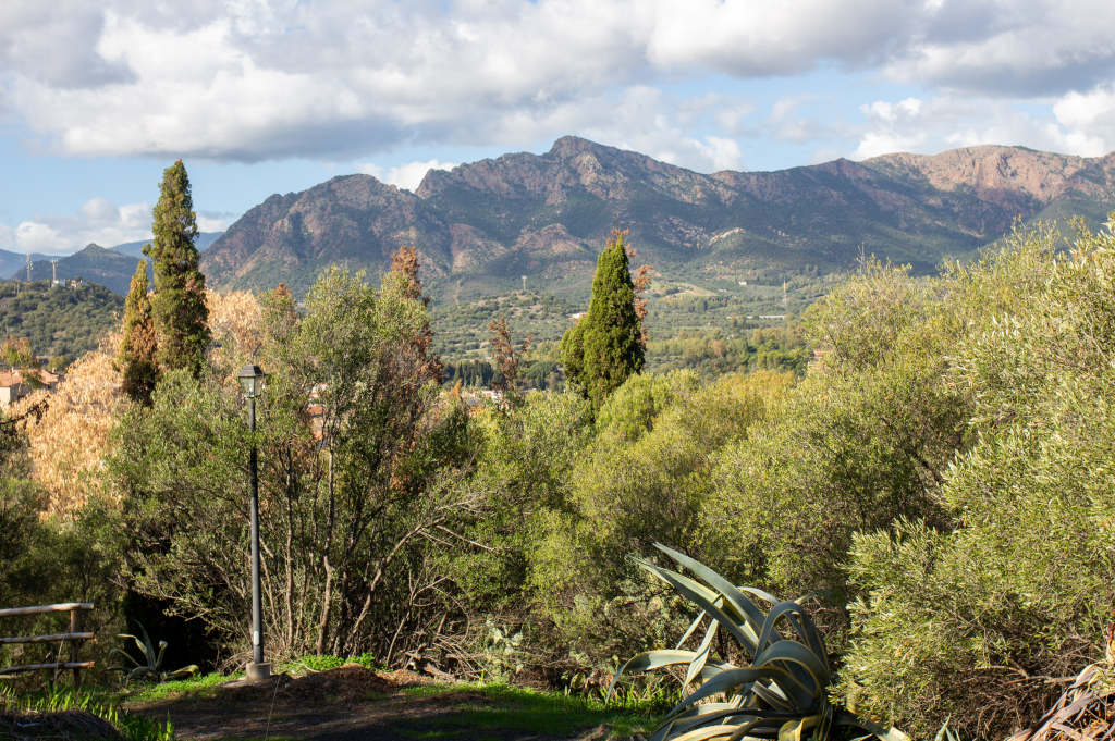 Villa Siotto Park. Photo by Marta Cincotti, 2025, from Catalogo BBCC.