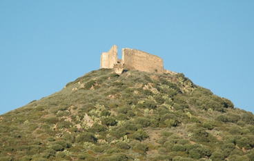 Sardara, Castello di Monreale