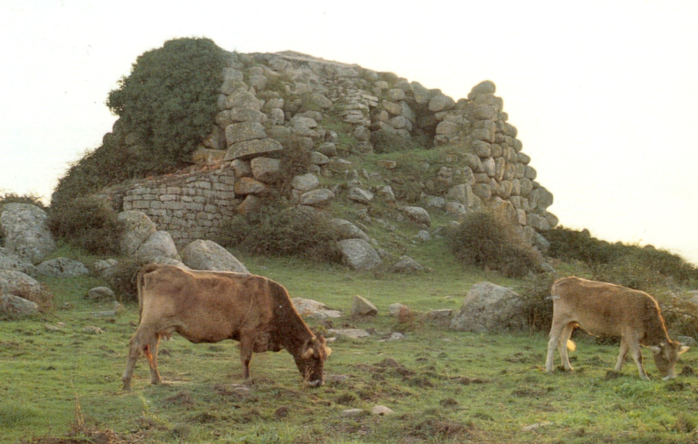 Templo de Pausania, Nuraghe Izzana