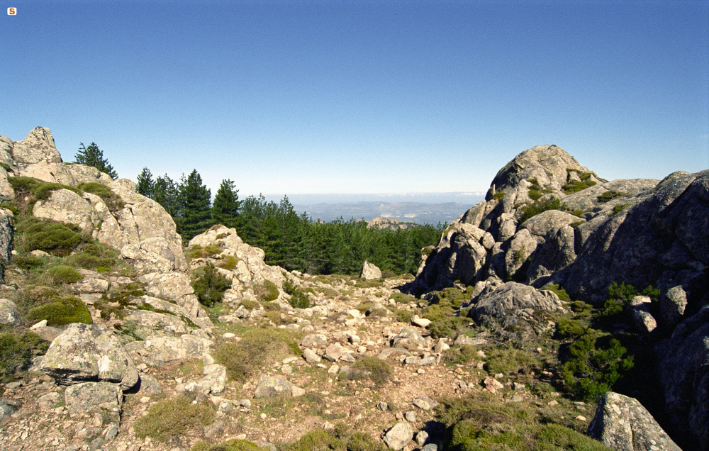Berchidda, Dolmen di Monte Acuto