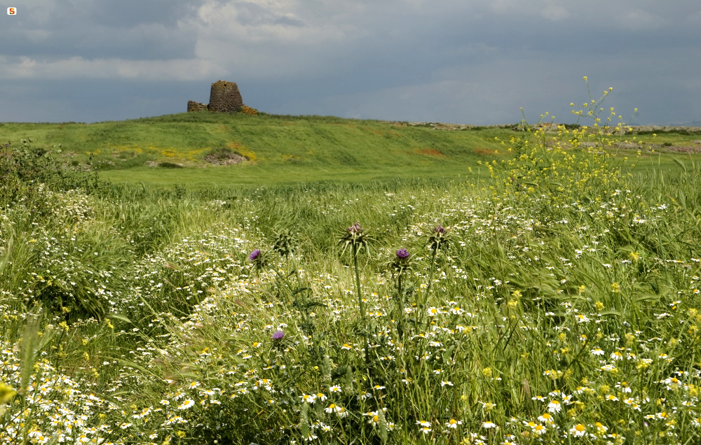 Ozieri, Nuraghe Burghidu