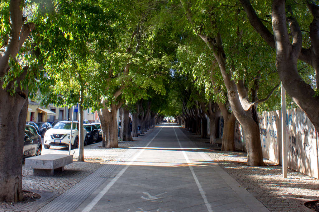 Avenida del Recuerdo de Sassari. Foto de Angela Nieddu, 2025, del Catalogo BBCC