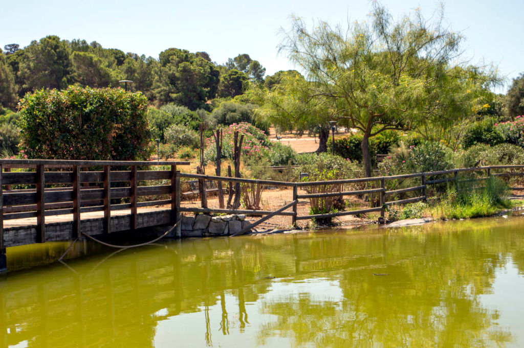 Monte Claro Park. Photo by Marta Cincotti, 2025, from Catalogo BBCC.
