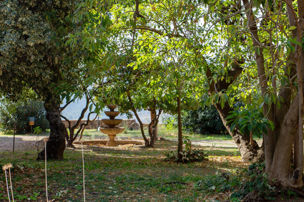 Jardín de Villa Bellavista. Foto de Marta Cincotti, 2025, del Catalogo BBCC
