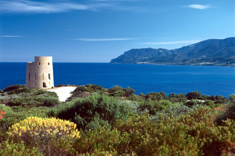 Paysage